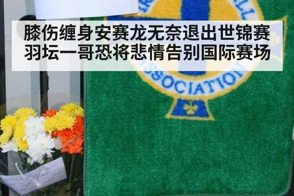 膝伤缠身安赛龙无奈退出世锦赛 羽坛一哥恐将悲情告别国际赛场